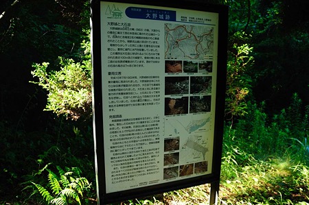 1107120747_DSC_5497