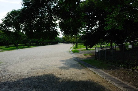 1107121633_DSC_5837