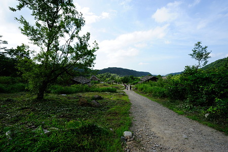 1108141500_DSC_6074