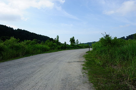 1108141522_DSC_6158