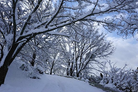 1101011359_DSC_6499