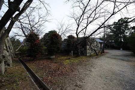 1101031234_DSC_7970
