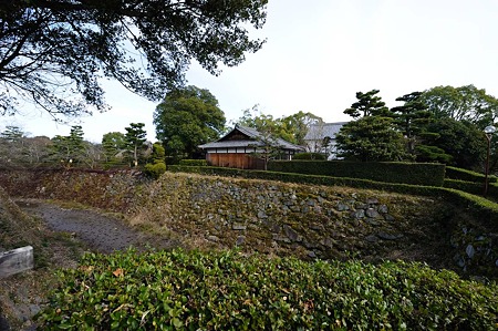 1101031234_DSC_7974