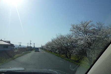 1104121550_P1740648