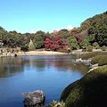 駒込 六義園