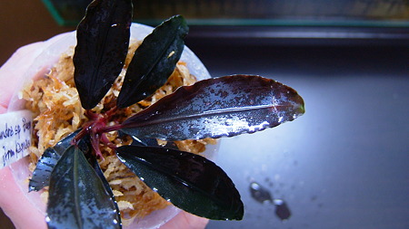 DSCF0940