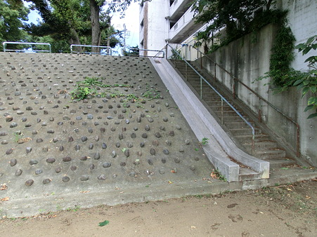 CIMG0181