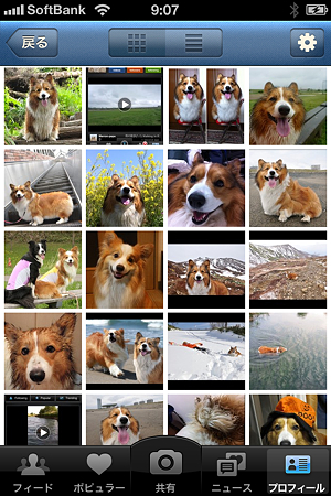 写真 4