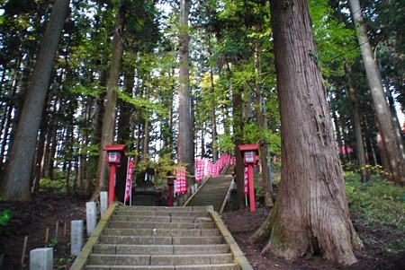 haguroyamajinnja_utunomiya05