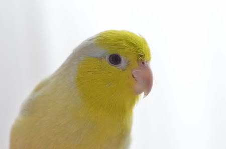 ぴーたんの普通過ぎるスナップ