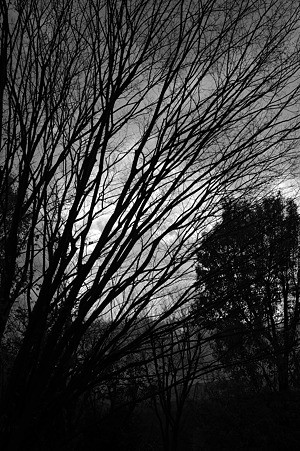DSC_1308m