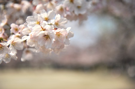 DSC_3263m