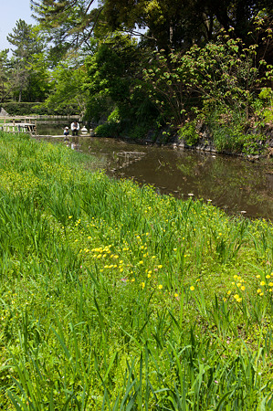20120429-L1000071