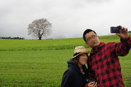DSC06524m