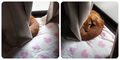 20120425 朝のJURI