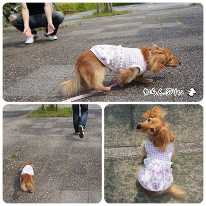 20120519 乙女心
