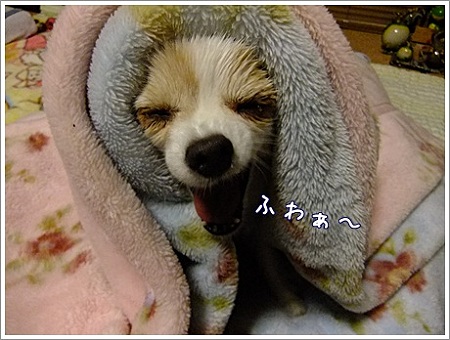 ふわぁ~