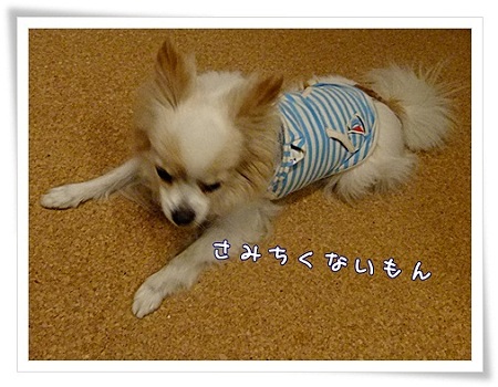 ないもん