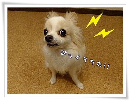 びっくり
