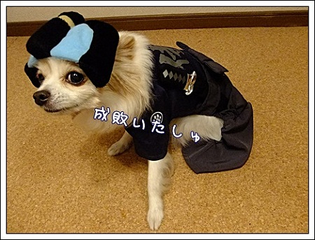 成敗