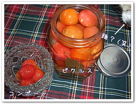 トマトのその後