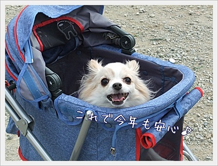安心