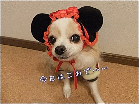 失礼