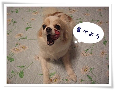 食べよう