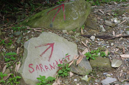IMGP6138