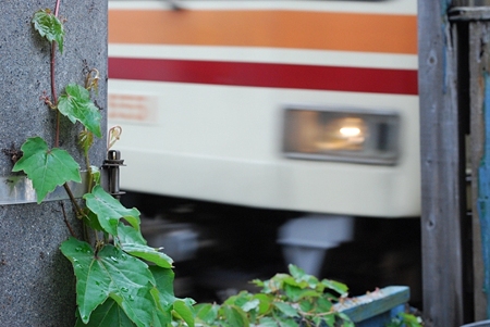 江ノ島駅近くにて