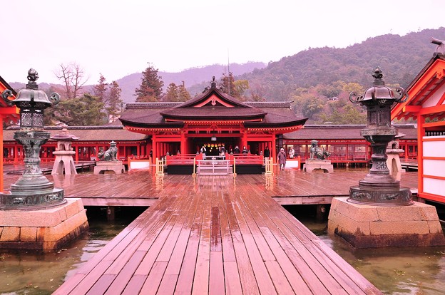 朝の雨降る厳島神社正面 写真共有サイト フォト蔵