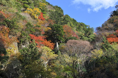 赤目四十八滝の紅葉・1