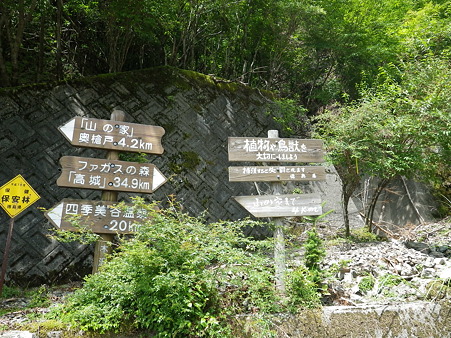 剣山スーパー林道