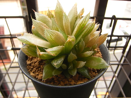 R0012026