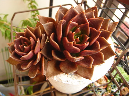 R0012118