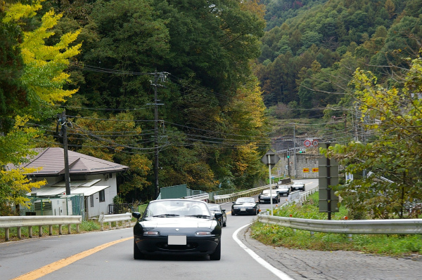 徐々に建物が減り、緑が増えていく