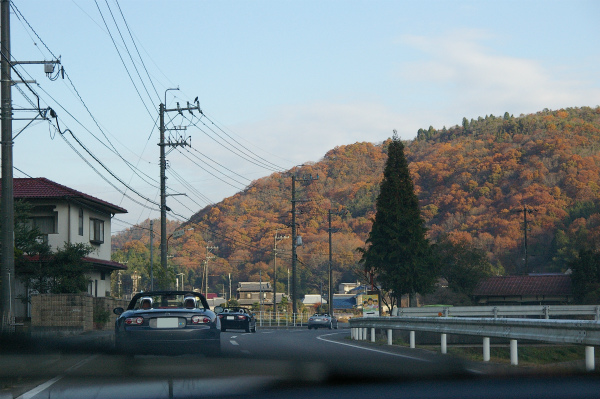 次男が苦労して撮影した写真