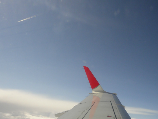 眩しい青空に飛行機雲が見える
