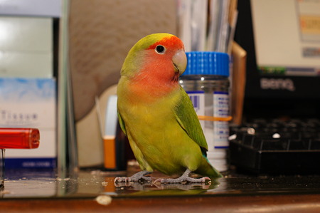 DSC03801