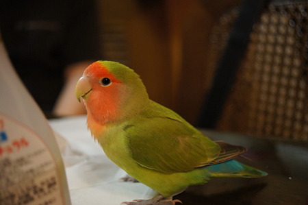 DSC00620