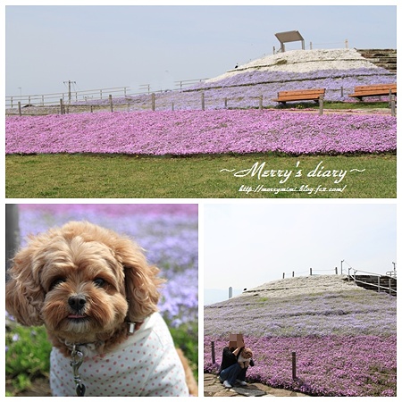 相模三川公園