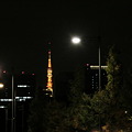 Photos: 東京タワーのライトアップ