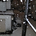 関東平野住宅地にも雪降臨！